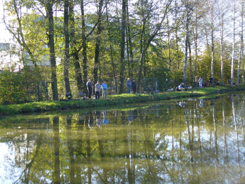 Foto 11