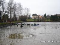 Foto 34