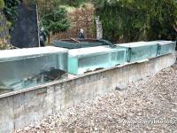 Foto 31